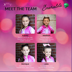 Meet the Emeralds team